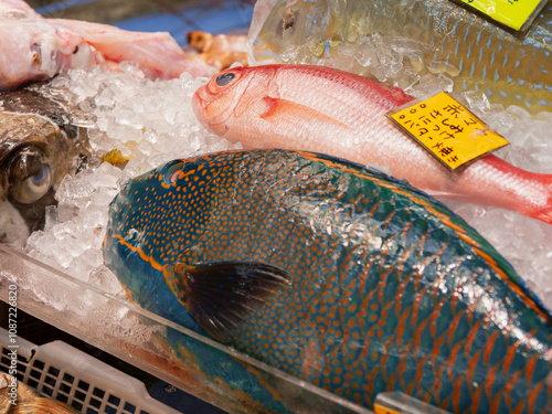 沖縄の市場で売られている魚介類