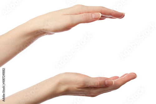 Female hands on a white background