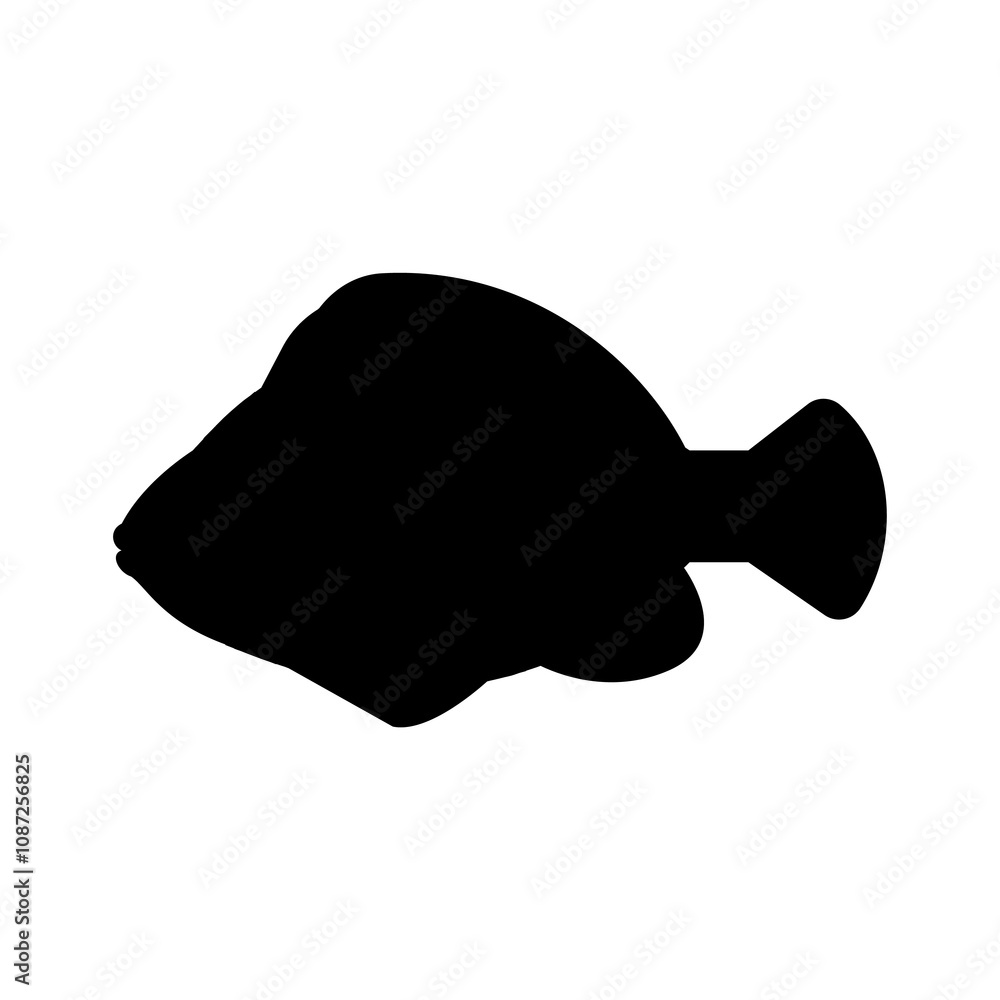 aquarium fish aquarium fish