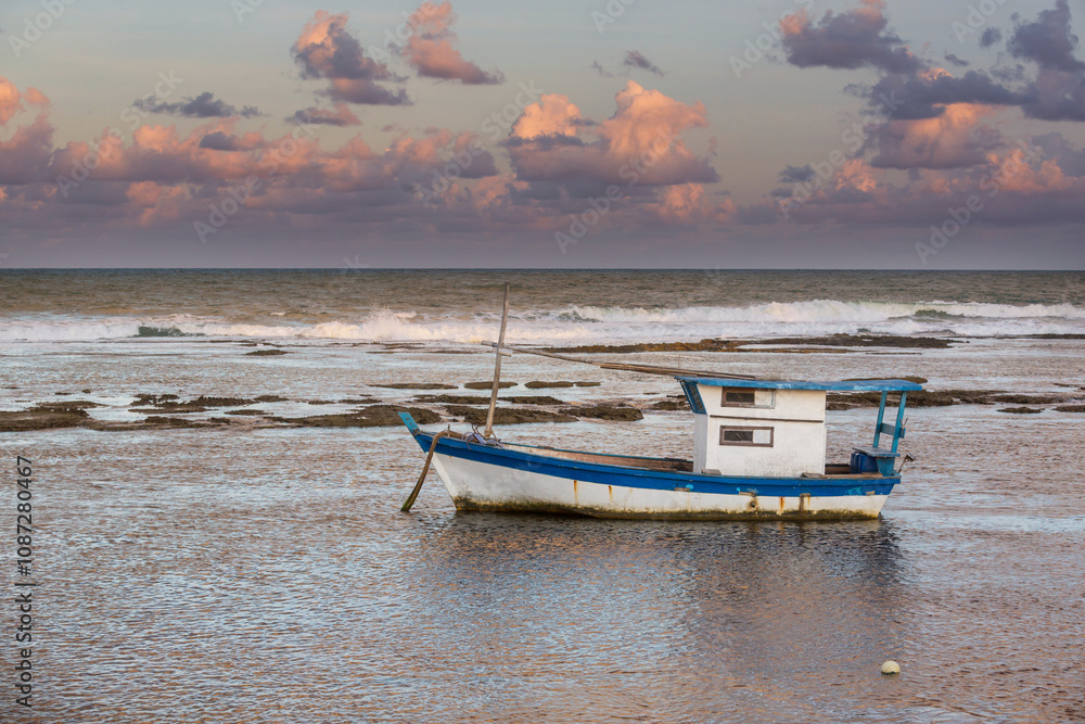 Naklejka premium Boat in Brazil