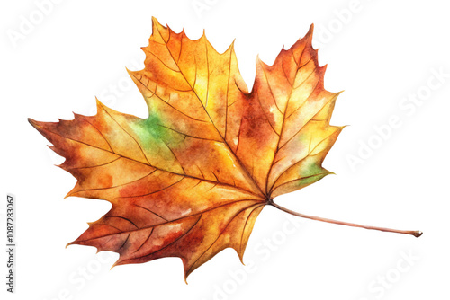 Wallpaper Mural maple leaf isolated on white Torontodigital.ca