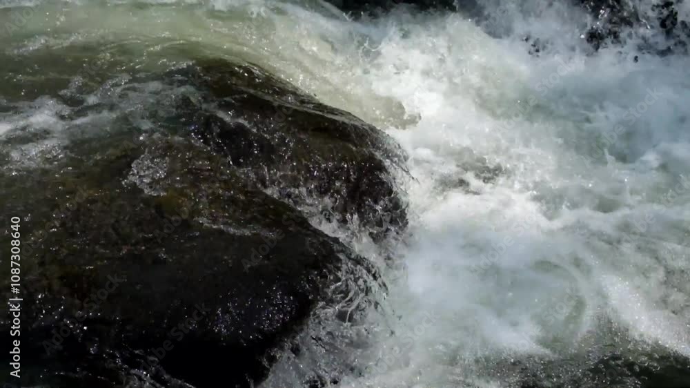 River cascade with clear, fast flowing water between large rocks. River flowing from the forest. Natural river seems cool and fresh. Real time. Natural light. For relaxation or transition videos River cascade with clear, fast flowing water between large rocks. River flowing from the forest. Natural river seems cool and fresh. Real time. Natural light. For relaxation or transition videos
