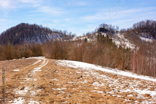 season change in carpathian mountains. cold environment concept. sunny day in spring. leafless forest and snow on the hill. beautiful scenery