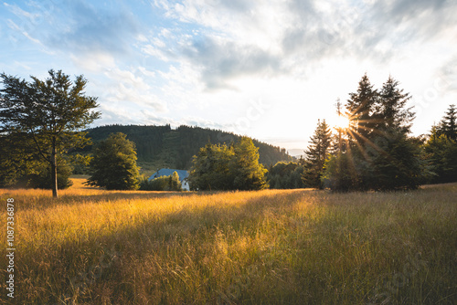 Serene sunset over rolling hills and fields with a backdrop of evergreen forests. A tranquil moment capturing the golden glow of nature in a peaceful, scenic landscape