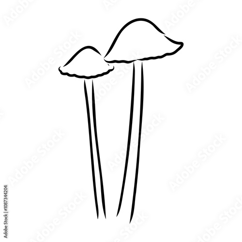 Toadstools, , vector illustrations. Sketch style, toadstool mushroom, vector