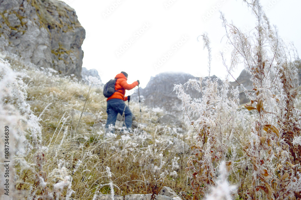 Fototapeta premium A tourist walks in the mountains during the cold season: a landscape with a man in a bright jacket walking up using hiking poles and frost-covered plants (Prokletije National Park, Montenegro).