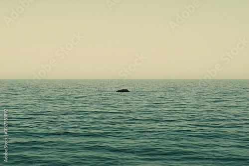 Mysterious Presence on the Horizon: A Serene Ocean Scene