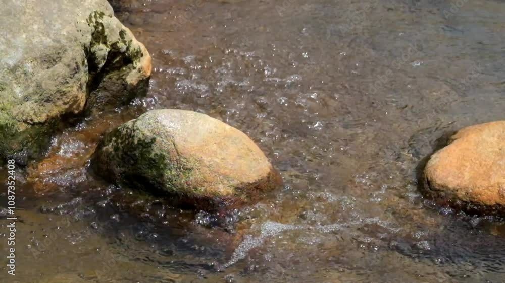 Water bubbles from a clear river spring. The river water is clear and looks natural. Ground water springs seen from above. Nature and environmental concepts. Natural water sources. Real time. Water bubbles from a clear river spring. The river water is clear and looks natural. Ground water springs seen from above. Nature and environmental concepts. Natural water sources. Real time.