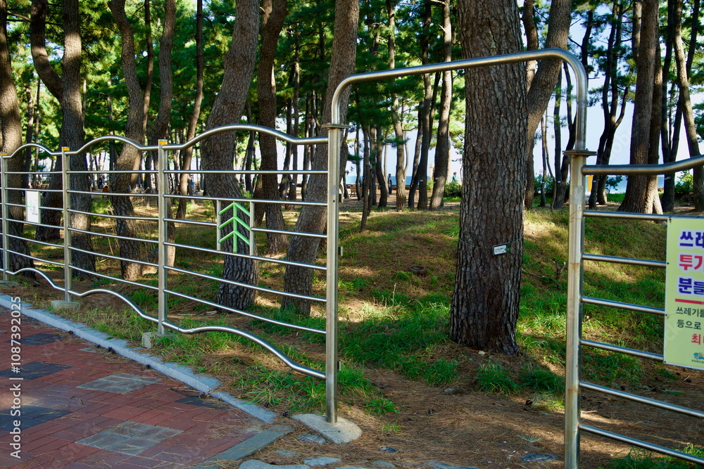Fototapeta premium Gated Entrance to Pine Forest at Sokcho Beach