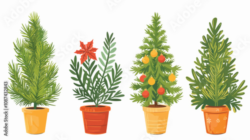 Hand-drawn Christmas Tree Plant Vector Illustration