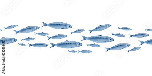 Sardine fish in seamless horizontal border swimming in a shoal stylized watercolor illustration on a transparent background for fish restaurants, websites, posters, fish markets and stores photo