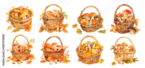 wicker baskets with mushrooms. autumn mushroom picker basket set, forest rural fresh harvest yellow foliage picking seasonal food hike vector illustration