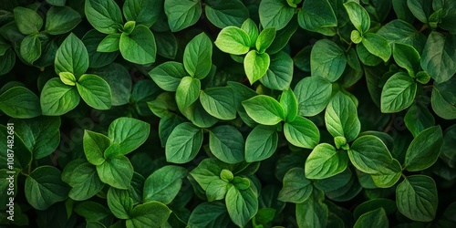 Portrait photo showcasing a vibrant green plant, capturing the essence of greenery in its stunning details. This green plant portrait highlights the beauty of greenery in nature.