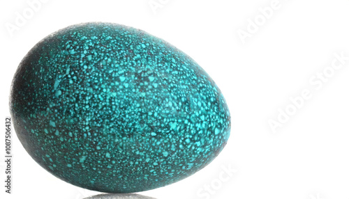 Emu - Dromaius novaehollandiae - is a species of flightless bird endemic to Australia, where it is the tallest native bird. large green blue speckled egg. Isolated on white background with copy space photo