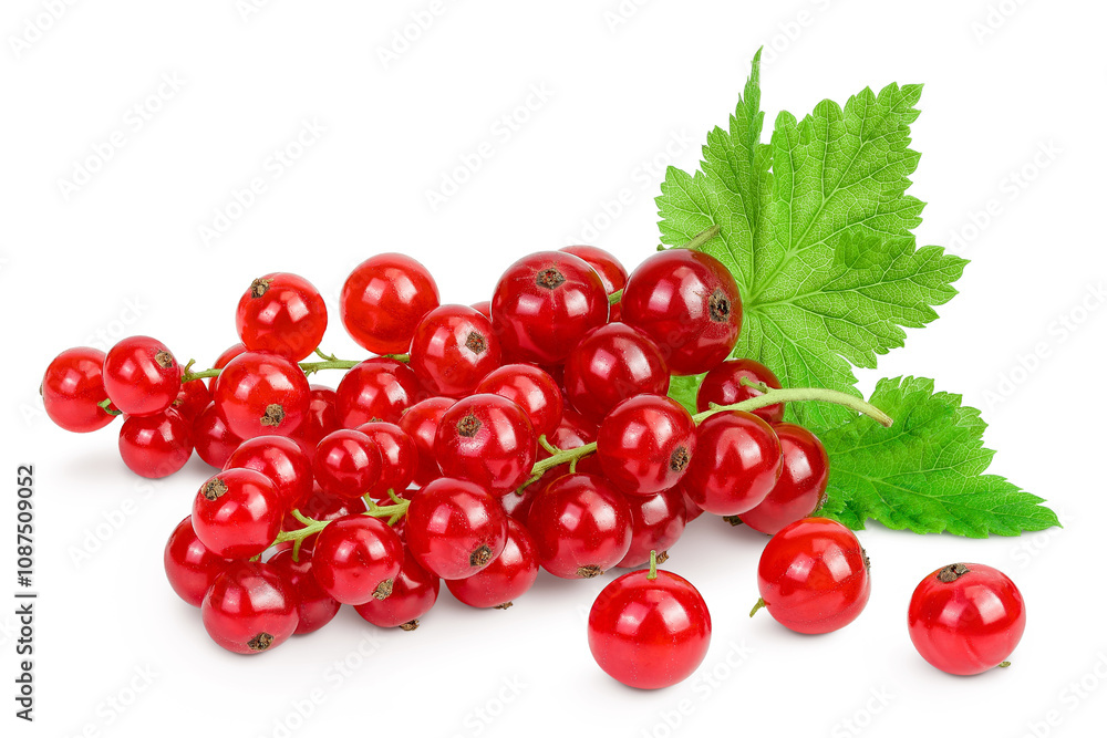 Red currant berries isolated on white background Red currant berries isolated on white background