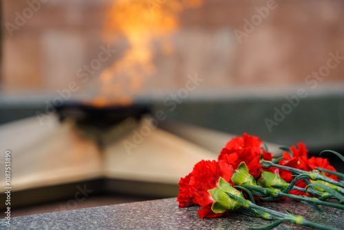 Bilde på lerret The Victory Monument and the eternal flame with carnations, a symbol of victory over fascism and May 9