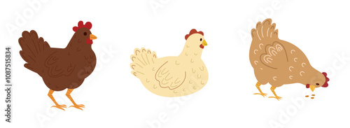 Cute hen set, farm animal bird, poultry,  chicken. Vector simple design isolated on white background