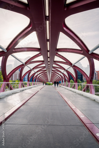 Travel destination Calgary. Peace Bridge across Bow River with Modern City Buildings in Background