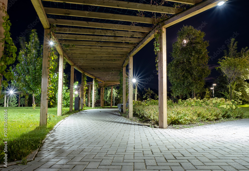 A night alley in the park, benches, lanterns and a pedestrian path in the dark. A night alley in the park, benches, lanterns and a pedestrian path in the dark.