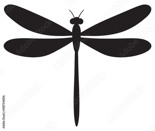 Cartoon dragonfly on white background, Cute dragonfly icon silhouette