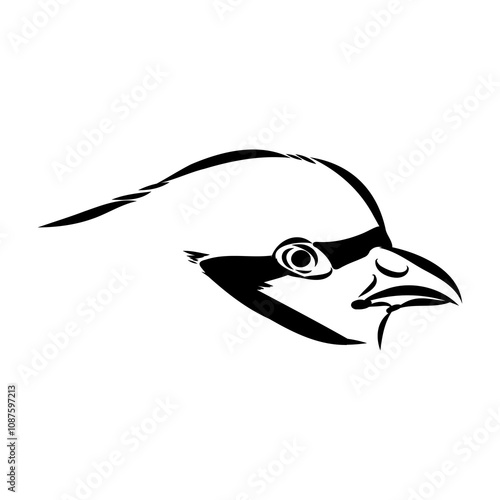 Asian partridge, vector sketch, chukar
