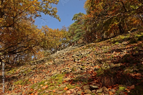 Blockhalde im Nationalpark Kellerwald. photo