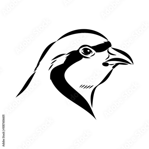 Asian partridge, vector sketch, chukar