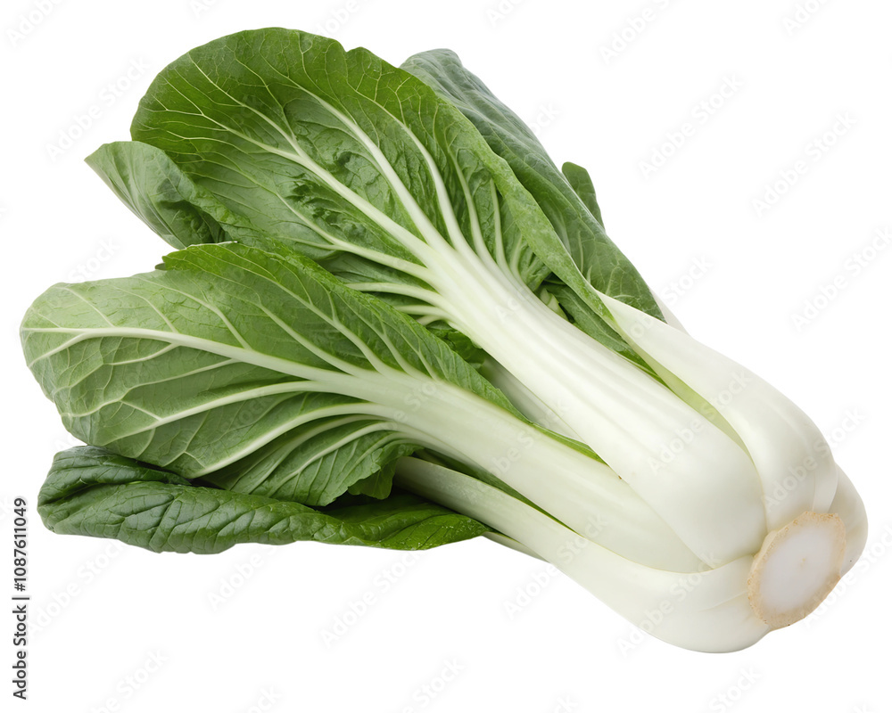 cabbage isolated on white background cabbage isolated on white background