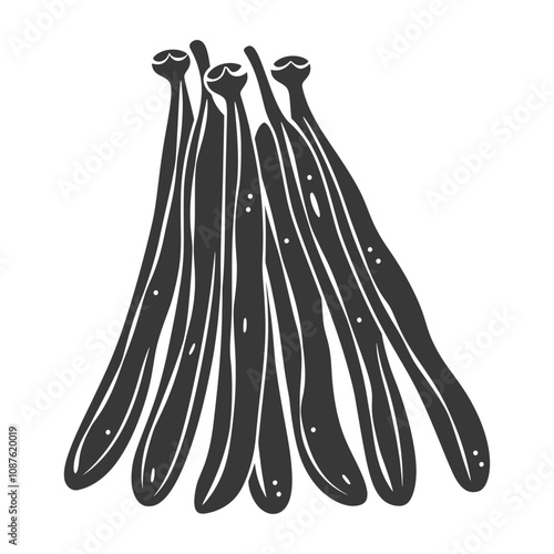 Six Black and White Pods of Vanilla Beans