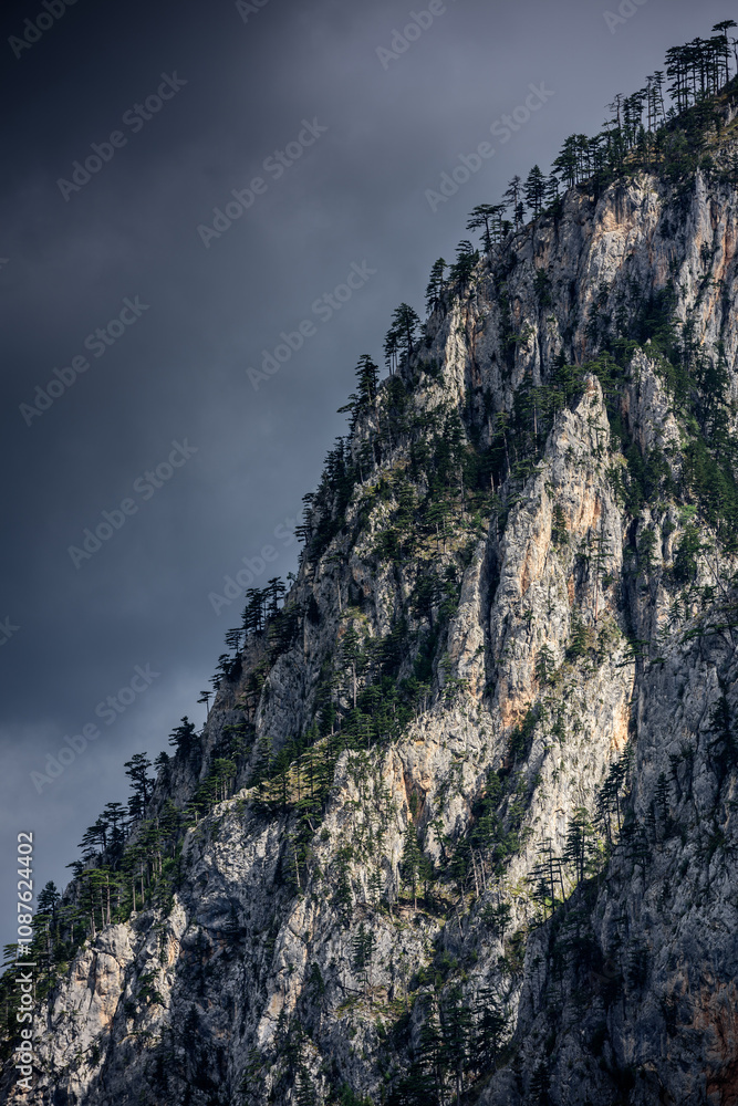 Overhanging cliffs with tree. Detail of hight mountain landscape. Overhanging cliffs with tree. Detail of hight mountain landscape.