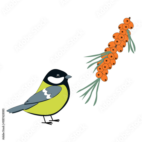 Tit and sea buckthorn, wild small bird with a branch of garden berry