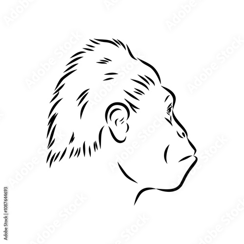 Australopithecus, vector sketchl. Graphic sketch. Vector