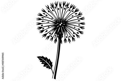 Line Silhouette Drawing of a Dandelion A Minimalist Art Piece