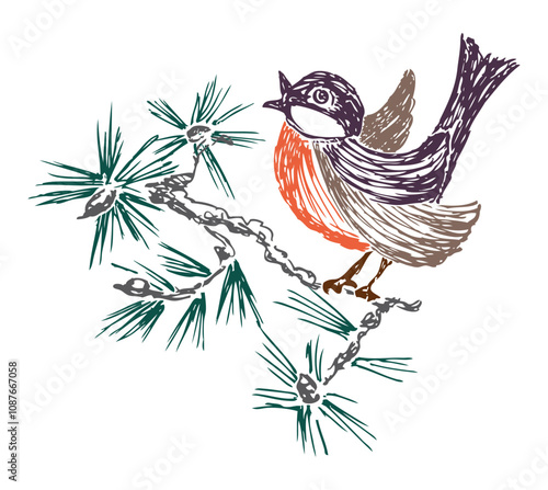 Hand drawing of one cartoon bird singing on pine branch, vector illustration isolated on white photo