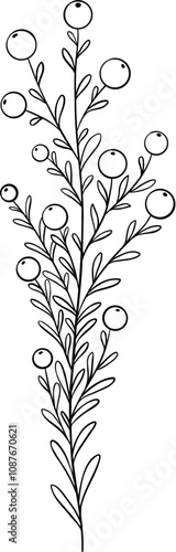 Flowers branch doodle. Hand drawn herbs line plants with leaves. Summer and spring rural branches. Natural decorative foliage sketch leaf. Floral isolated elements for wedding greeting card vector ico