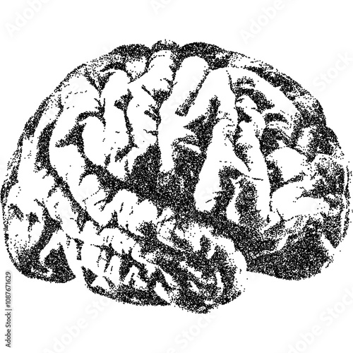 Brain with halftone stipple effect, for grunge punk y2k collage design. Vector illustration in grainy photocopy texture for experimental dotted retro banner design