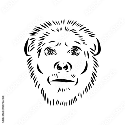 Australopithecus, vector sketchl. Graphic sketch. Vector