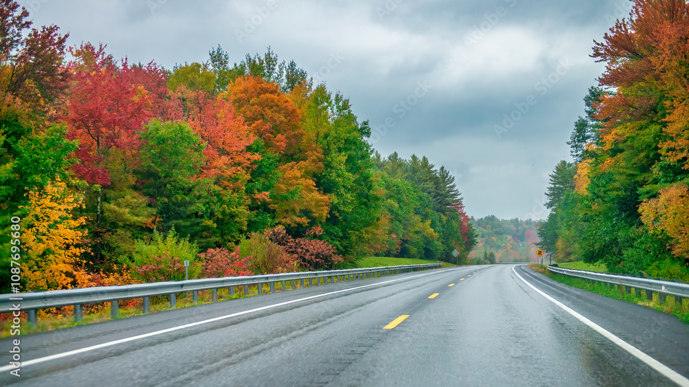 Travel landscape with road through the woods in fall. Autumn forest at sunset. Beautiful empty mountain roadway, trees with red and orange foliage Travel landscape with road through the woods in fall. Autumn forest at sunset. Beautiful empty mountain roadway, trees with red and orange foliage