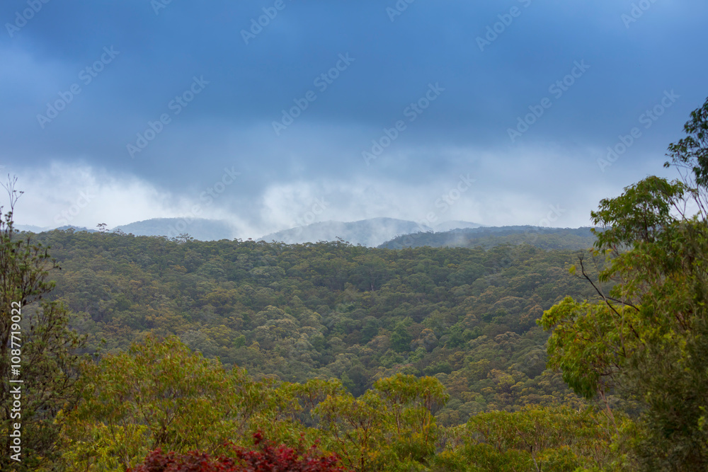 Photograph of mist and low level cloud in Sassafras Gully in Springwood in the Blue Mountains in New South Wales, Australia. Photograph of mist and low level cloud in Sassafras Gully in Springwood in the Blue Mountains in New South Wales, Australia.