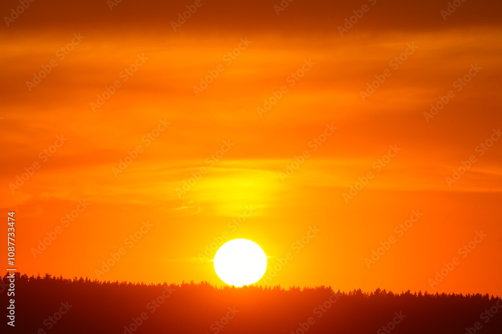 A red sunset. The setting sun over the forest in summer. A red sunset. The setting sun over the forest in summer.