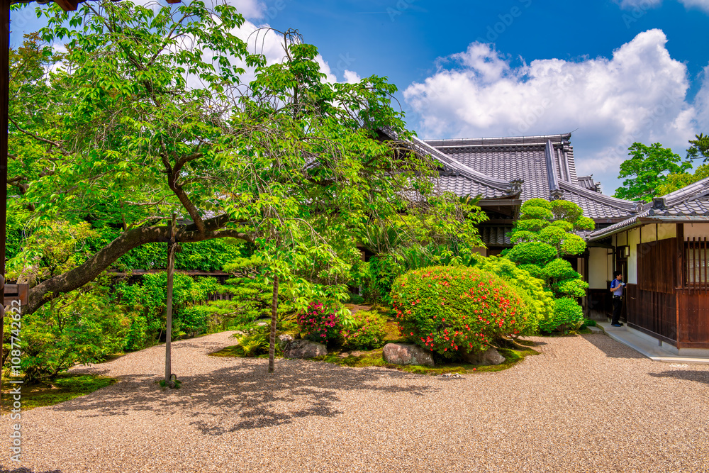 Naklejka premium Nara, Japan. Noborioji Park on a sunny day