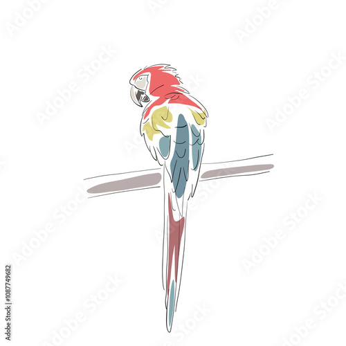 Parrot Macaw on tree branch, line art, vector drawing illustration. Isolated tropical bird sitting on perch