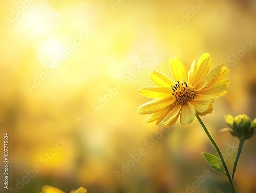 Golden Flower Basking In Wa...