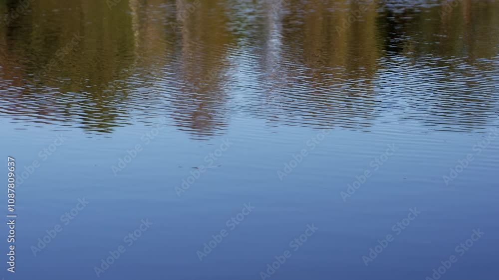 Lake water with reflections Lake water with reflections
