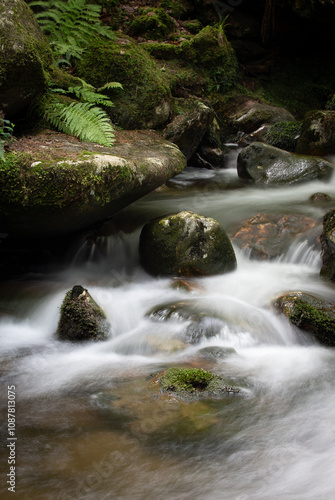 waterfall in the forest