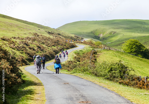 Pilgrims journeying along the scenic Camino de Santiago in the morning