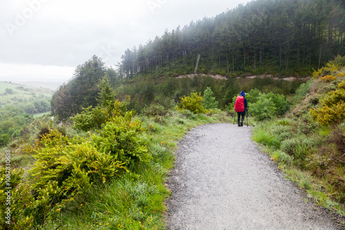 Pilgrim journeying along the scenic Camino de Santiago in the morning