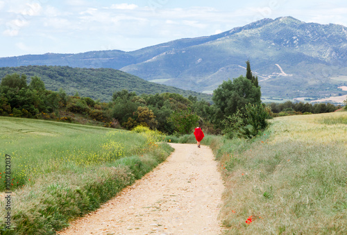 A person walking along a dirt path in a green landscape under a blue sky near a mountain