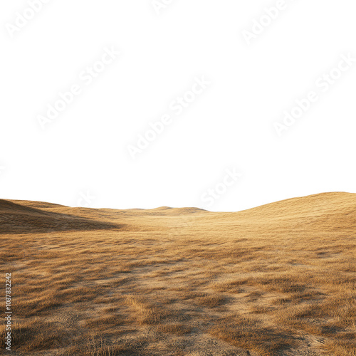 Golden Hour in the Dry Grasslands: A Serene Landscape
