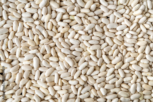Organic kidney beans background. Texture of raw white beans or haricot close-up. Harvesting, organic farm products, plant protein concept. Vegetarian and vegan food ingredient.